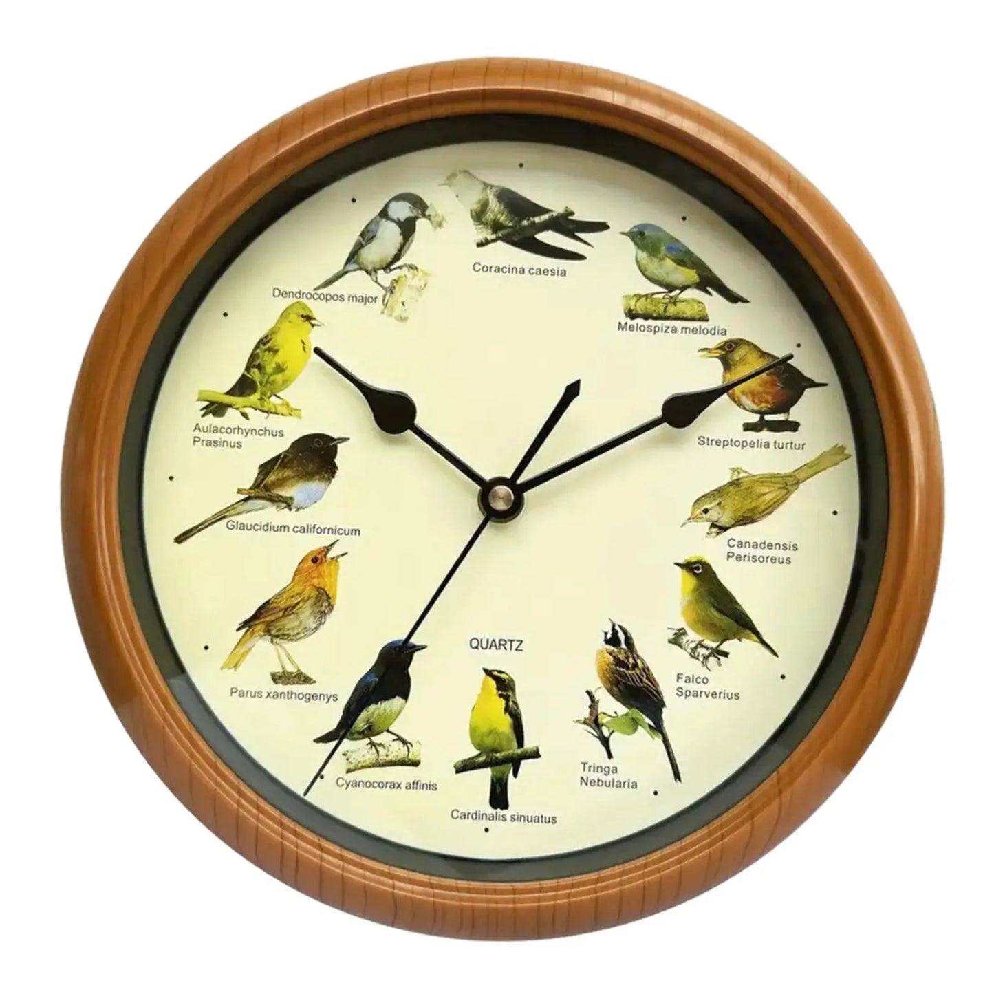 Wall Hanging Clock Decor Singing Bird Wall Clock Bird Clock With Sound Hanging Clock Decor for Kitchen Walls Shelf Decoration    Home Decor Supply | Online Retail | ShoreShopper.com
