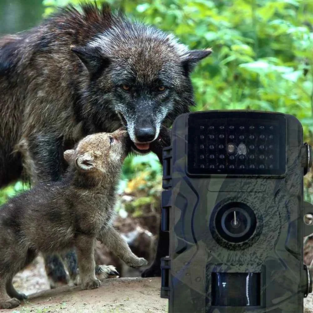 Hunting Camera Waterproof Infrared Night Vision Security Cam Motion Activated Wildlife Camera for Outdoor Wildlife Hunting