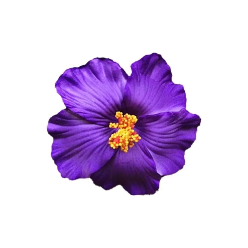 Headwear Hawaiian Flower Hair Clips Side Bangs Clip Hair Accessories Artificial Flower Clips Suitable Vacation Beach Parties    Your Coastal Marketplace | Shoreshopper.com