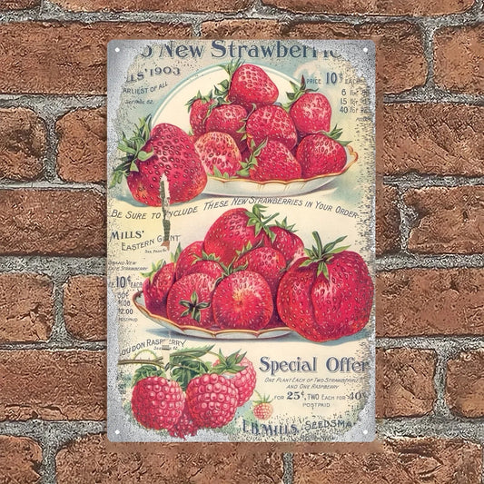 1pc Vintage Metal Iron Wall Art Sign, 20x30cm/8x12inch, Decorative Hanging, No Electricity Needed    Home Decor Supply | Online Retail | ShoreShopper.com