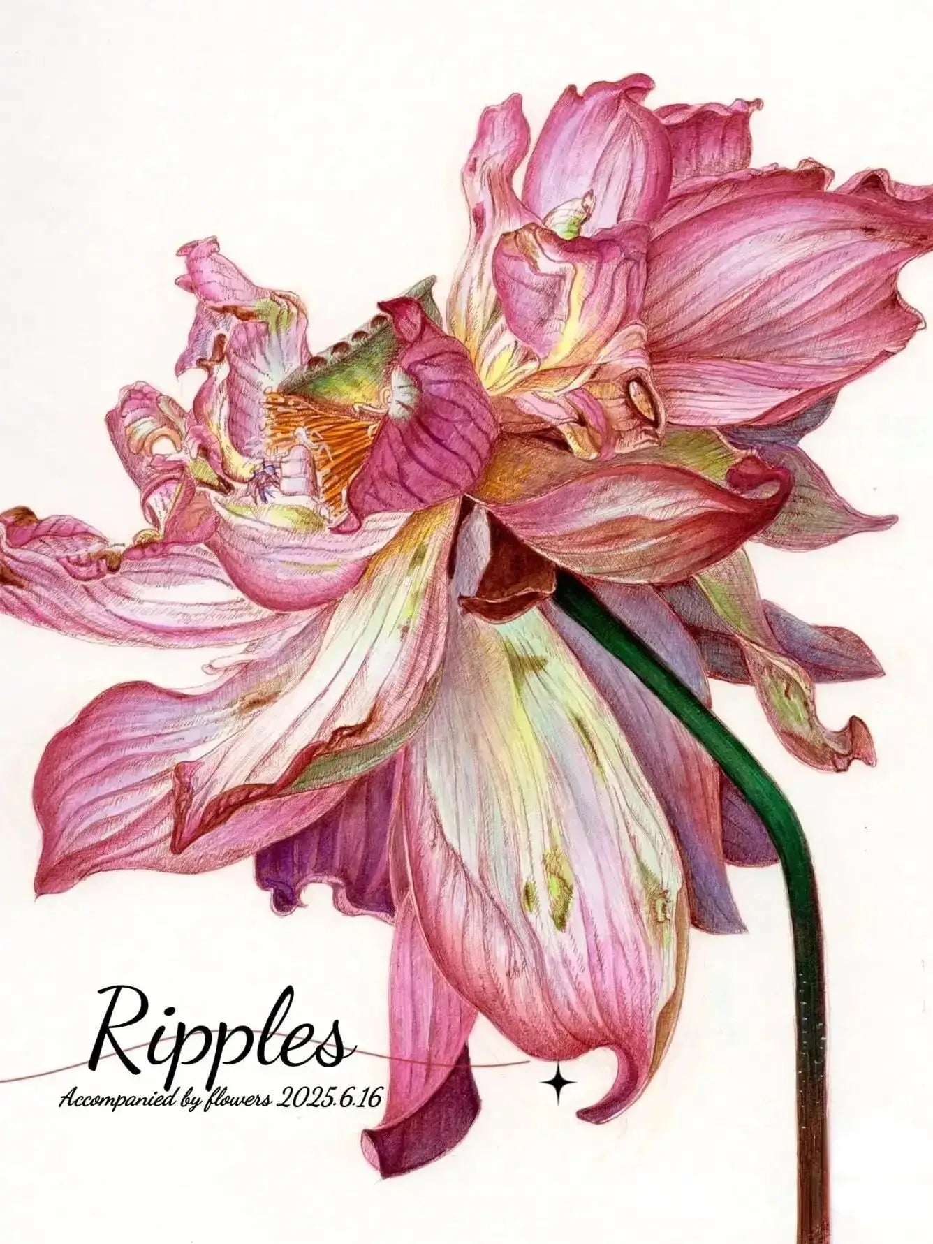 artist watercolor paint 24/36/48/60/98/130colors art set professional drawing pigment art supplies    Home Decor Supply | Online Retail | ShoreShopper.com