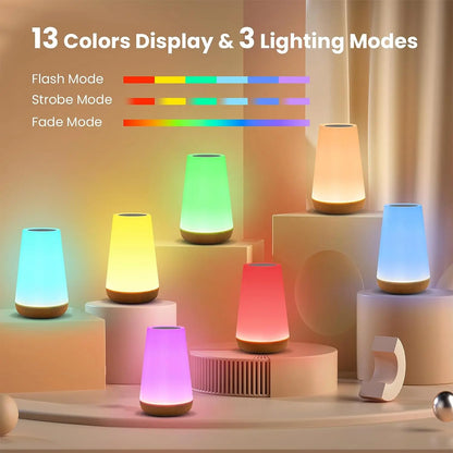 13 Color Changing Night Light Remote Control Touch USB Rechargeable RGB Night Lamp Dimmable Lamp Portable Table Bedside Lamp - ShoreCo.Shop