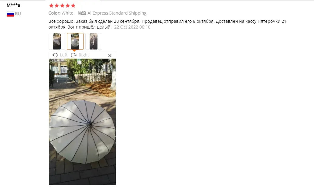 Windproof Folding Umbrella, UV Protective, Travel Umbrella, Wedding Party Fashion, Vintage Pagoda Umbrella    Your Coastal Marketplace | Shoreshopper.com