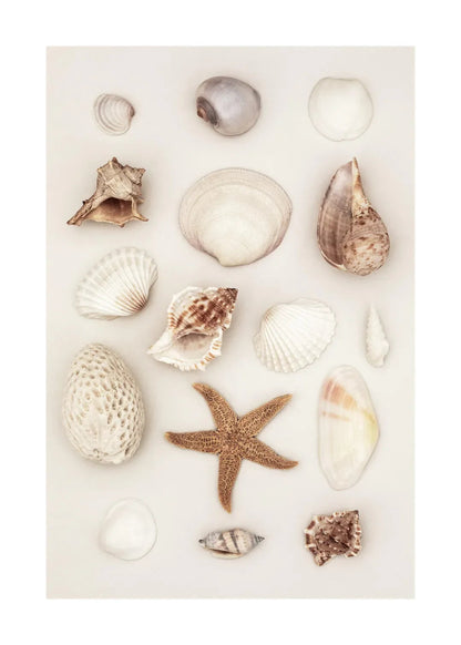 Tropical Blue Sea White Sand Beach Conch Lighthouse Wall Art Home Decoration Nordic Posters And Prints Canvas Painting Picture    Your Coastal Marketplace | Shoreshopper.com