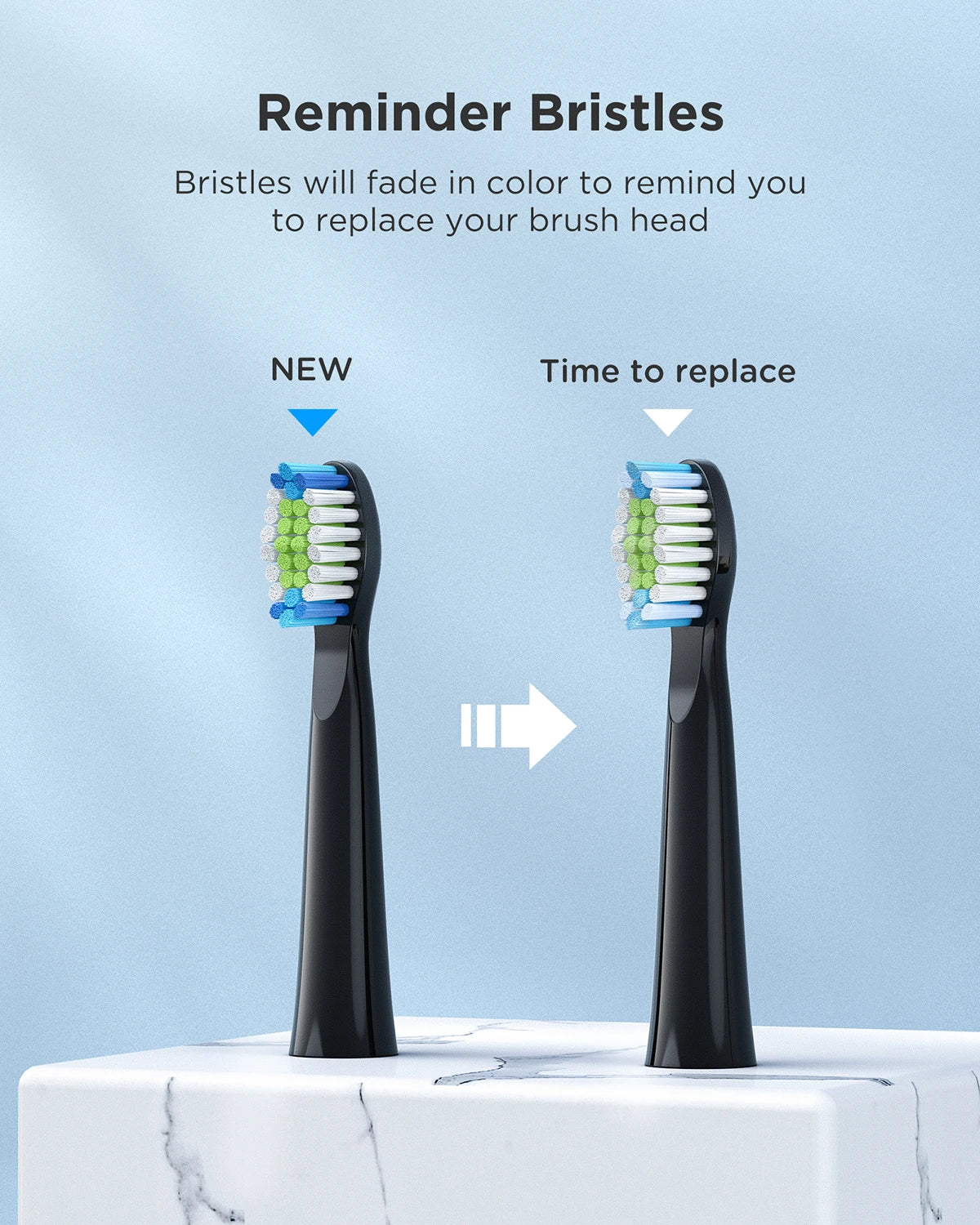 Fairywill Sonic Electric Toothbrush E11 Waterproof USB Charge Rechargeable Electric Toothbrush 8 Brush Replacement Heads Adult - ShoreCo.Shop