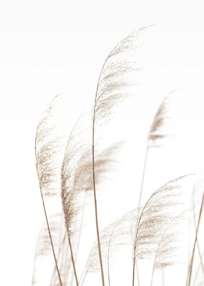 Beach Print Large Ocean Sea Grass Poster Coastal Bedroom Boho Room Decor Minimalist Landscape Printable Pictures Canvas Wall Art    Your Coastal Marketplace | Shoreshopper.com