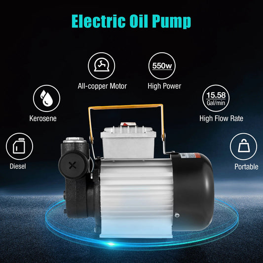16GPM Commercial Electric Oil Pump Self Priming Transfer Fuel 60L/Min 110V 550W 30*20*20cm/ 11.8*7.9*7.9 In    Home Decor Supply | Online Retail | ShoreShopper.com