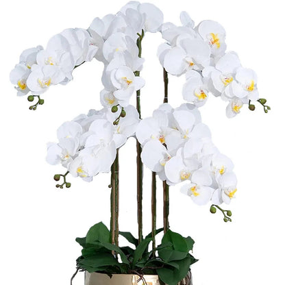 1Pcs Butterfly Orchid Artificial Flowers Orchid Phalaenopsis Fake Flowers Party Home Decor Garden Wedding Decoration Accessories    Home Decor Supply | Online Retail | ShoreShopper.com