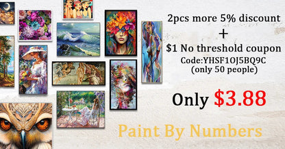 Acrylic Paint By Numbers Modular Picture With Paint Drawing On Canvas Adults Handpainted Gift Wall Art Painting Home Decor    Home Decor Supply | Online Retail | ShoreShopper.com