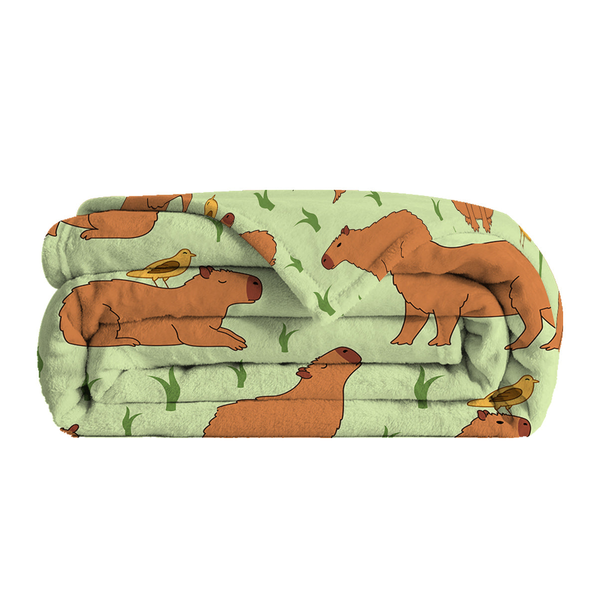 1 Pce Of Flannel Bird And Capybara Combined Pattern Soft And Fluffy Multifunctional Outdoor Beach Camping Living Room Sofa Office Nap Printed Blanket    Home Decor Supply | Online Retail | ShoreShopper.com