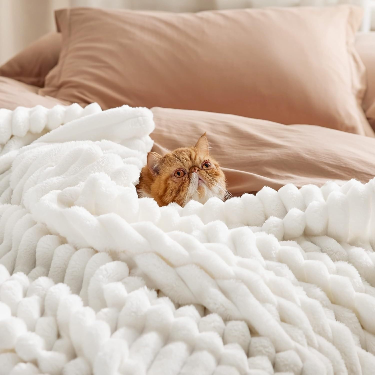Bedding Blanket Large Plush Soft Blanket    Home Decor Supply | Online Retail | ShoreShopper.com