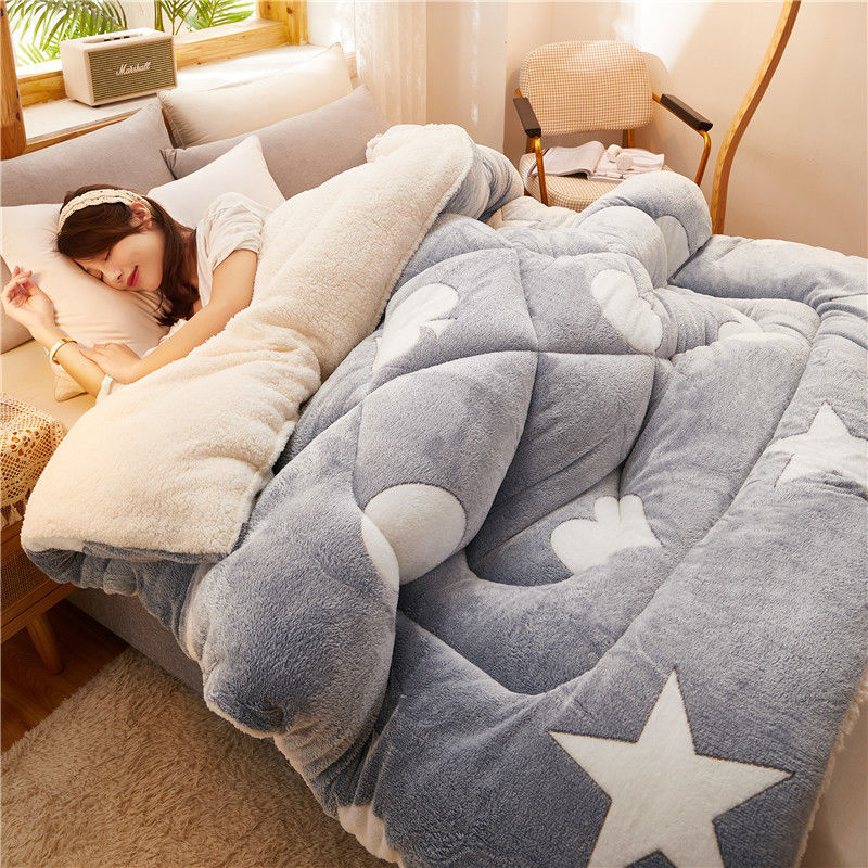 Winter Thick Quilt Dormitory Single Warm Lamb Velvet Double Quilt Core    Home Decor Supply | Online Retail | ShoreShopper.com