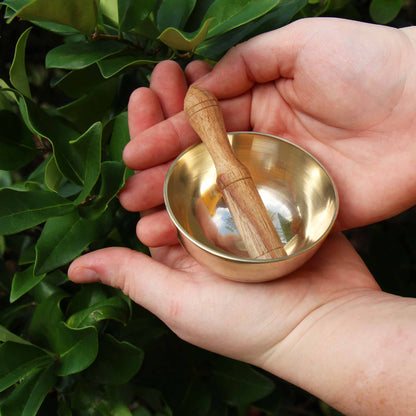 Meditation Bowl Box: 3'' Red Lotus - DZI (Meditation)    Home Decor Supply | Online Retail | ShoreShopper.com