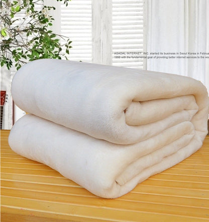 Flannel blanket coral blanket    Home Decor Supply | Online Retail | ShoreShopper.com
